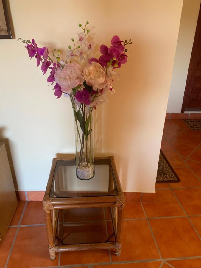 Casa Fraile San Miguel Apartamento San Miguel de Allende Exterior foto